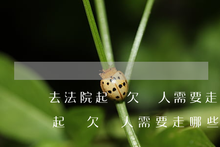 去法院起訴欠錢人需要走哪些過程-去法院起訴欠錢人需要走哪些過程呢