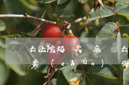 去法院起訴欠錢麻煩嗎 去法院起訴欠款人需要準(zhǔn)備些什么材料