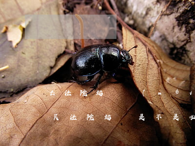 去法院起訴沒(méi)有律師可以嗎(去人民法院起訴是不是必須要律師)