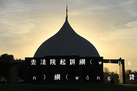 去法院起訴網(wǎng)貸侵權(quán)(網(wǎng)貸被起訴法院)