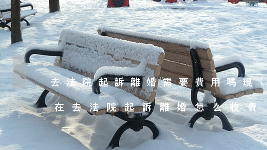去法院起訴離婚需要費用嗎(現(xiàn)在去法院起訴離婚怎么收費)