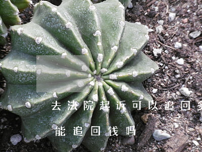 去法院起诉可以追回多给的利息吗(法院起诉能追回钱吗)