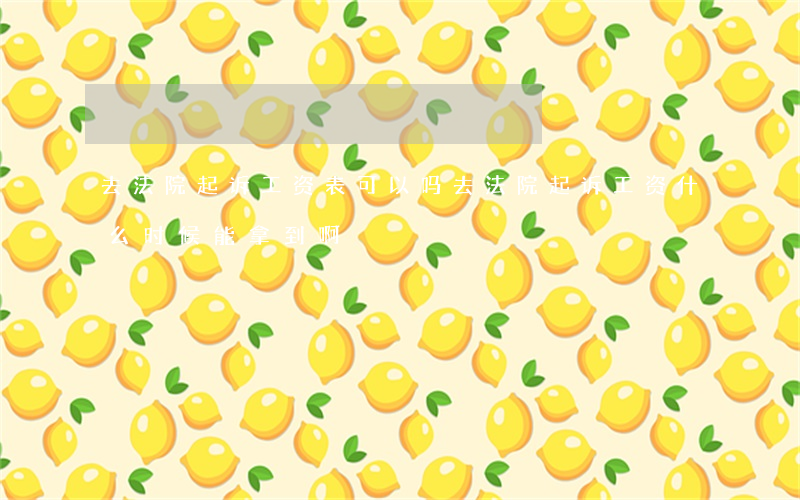 去法院起诉工资表可以吗(去法院起诉工资什么时候能拿到啊)