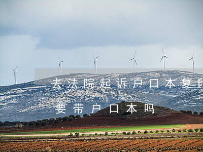 去法院起诉户口本复印件可以吗(法院开庭需要带户口本吗)