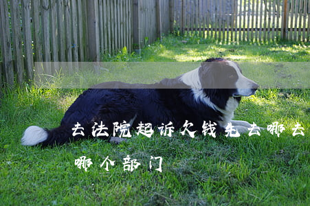 去法院起诉欠钱先去哪(去法院起诉欠钱先去哪个部门)