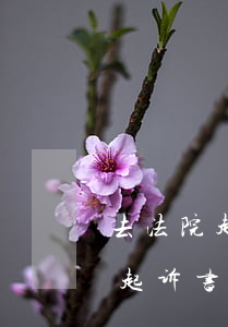 去法院起诉欠钱怎么写(法院起诉欠钱怎么写起诉书)