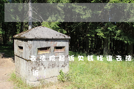 去法院起诉欠钱找谁(去法院起诉欠钱找谁起诉)