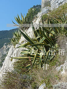 去派出所做筆錄可以讓律師陪同嗎(公安做筆錄律師可以在場(chǎng)嗎)