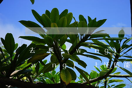 去當兵網(wǎng)貸逾期怎么辦(欠網(wǎng)貸上征信能不能當兵)