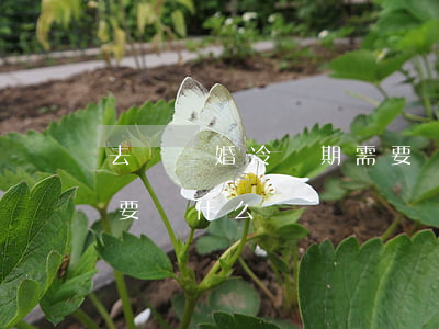 去簽離婚冷靜期需要帶什么(冷靜期離婚登記要帶什么)