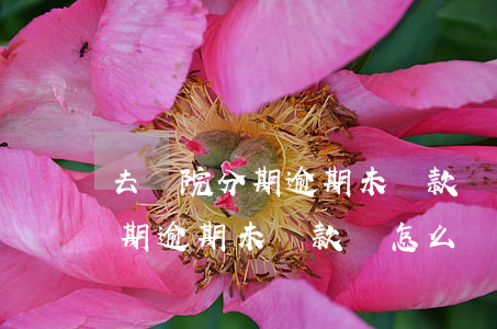去醫院分期逾期未還款會怎么樣-去醫院分期逾期未還款會怎么樣嗎