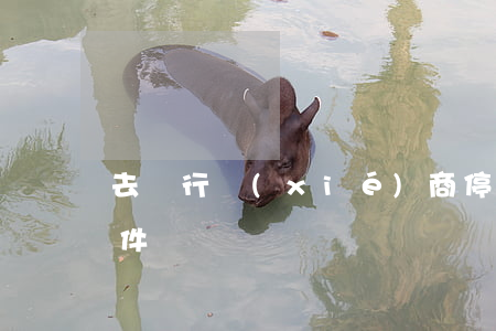 去銀行協(xié)商停息還款需要什么條件
