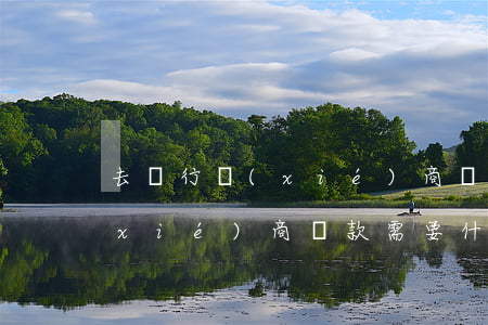 去銀行協(xié)商還信用卡-銀行協(xié)商還款需要什么材料