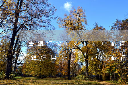 去銀行協(xié)商還款被公安帶走-去銀行協(xié)商還款被公安帶走這是什么行為