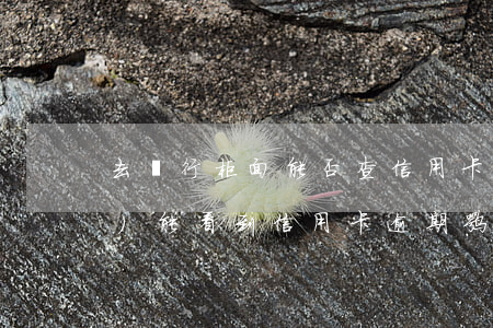 去銀行柜面能否查信用卡逾期(柜臺(tái)能看到信用卡逾期嘛)