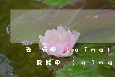 去銀行申請(qǐng)停息掛賬找誰(銀行貸款能申請(qǐng)停息掛賬嗎)