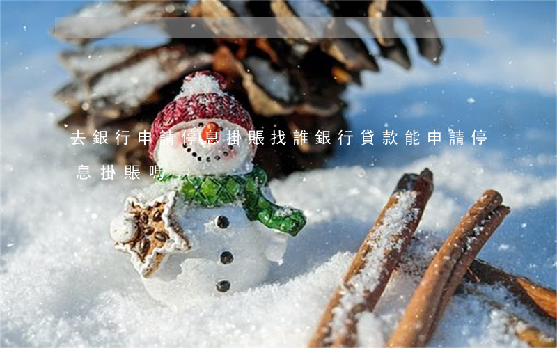 去銀行申請停息掛賬找誰(銀行貸款能申請停息掛賬嗎)