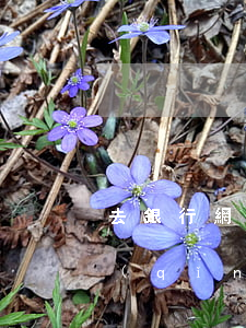 去銀行網(wǎng)點(diǎn)申請(qǐng)停息掛賬(銀行停息掛賬申請(qǐng)流程)