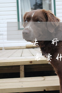 去銀行貸款需要什么條件(車子拿去銀行貸款需要什么條件)