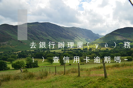 去銀行辦理業(yè)務(wù)會(huì)查信用卡逾期嗎-去銀行辦理業(yè)務(wù)會(huì)查信用卡逾期嗎知乎