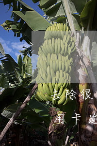 去除很多信用卡逾期記錄怎么消除(征信的信用卡逾期怎么去除)