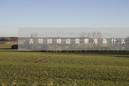 去领结婚证需要准备什么