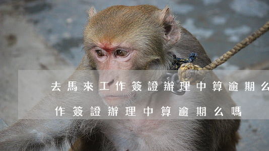 去馬來工作簽證辦理中算逾期么-去馬來工作簽證辦理中算逾期么嗎