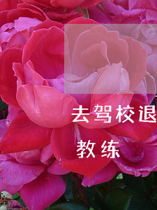 去驾校退钱需要找教练吗(退学费找驾校还是教练)