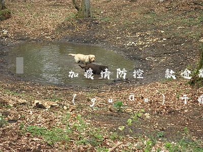 參加疫情防控貸款逾期證明(國(guó)家關(guān)于疫情期間貸款逾期的指導(dǎo)政策)