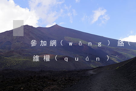 參加網(wǎng)絡(luò)投票怎樣維權(quán)