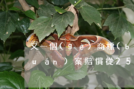 又一個(gè)商標(biāo)侵權(quán)案！賠償從25萬(wàn)增到300萬(wàn)！