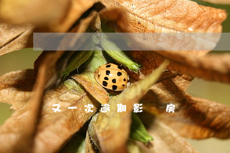 又一次逾期影響房貸嗎