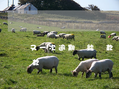 又一次逾期還能貸款嗎(貸款逾期了還能再貸款嗎)