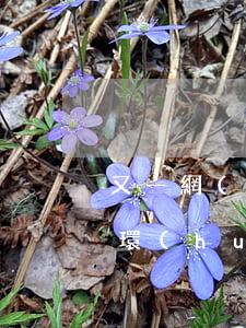 又一網(wǎng)貸逾期恐將再次開啟連環(huán)炸-2020網(wǎng)貸逾期爆發(fā)