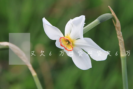又欠6万网贷(网贷欠6万怎么办)