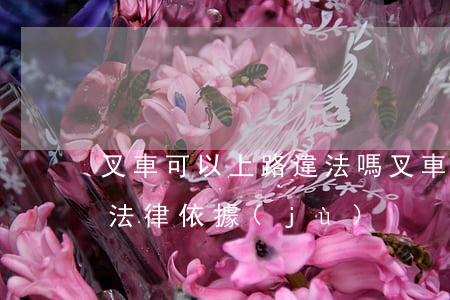 叉車可以上路違法嗎(叉車能不能上路有沒有法律依據(jù))