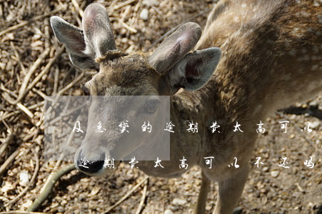 及急贷的逾期费太高可以不还吗-及急贷的逾期费太高可以不还吗安全吗