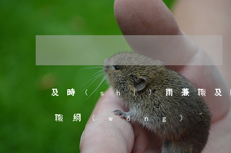 及時(shí)雨兼職(及時(shí)雨兼職網(wǎng))