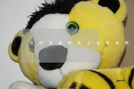 及時果逾期(馬上全面逾期)