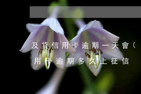 及貸信用卡逾期一天會(huì)怎么樣(信用卡逾期多久上征信)