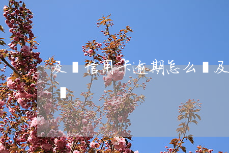 及貸信用卡逾期怎么辦(及貸信用卡逾期怎么辦)