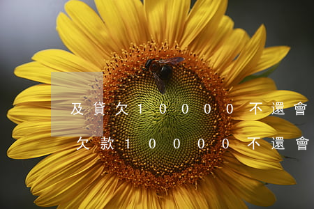 及貸欠10000不還會(huì)怎么樣(欠款10000不還會(huì)怎么樣)