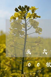 及貸欠3800塊錢會被起訴嗎(欠款40000被起訴會怎樣)