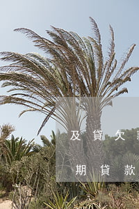 及貸欠款嚴(yán)重逾期并升級仲裁(逾期貸款已仲裁結(jié)束)