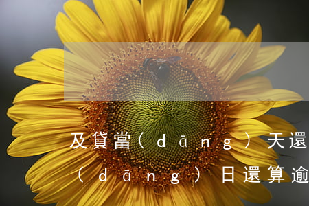 及貸當(dāng)天還款算逾期嗎(貸款當(dāng)日還算逾期嗎)