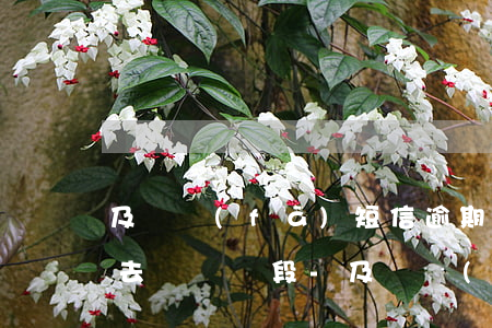 及貸發(fā)短信逾期案件進(jìn)去訴訟階段-及貸發(fā)短信逾期案件進(jìn)去訴訟階段怎么辦