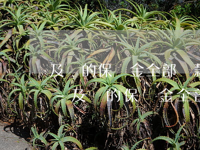 及貸的保證金全部還款后會(huì)退嗎-及貸的保證金全部還款后會(huì)退嗎怎么辦