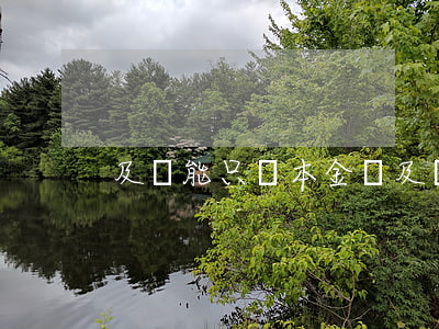 及貸能只還本金嗎(及貸能只還本金嗎)