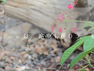 及貸逾期100天會被起訴嗎(逾期100多天)