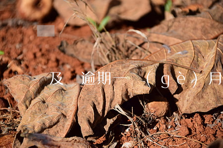 及貸逾期一個(gè)月還款(貸款逾期半年)